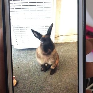 Meet your Posher, Cindy